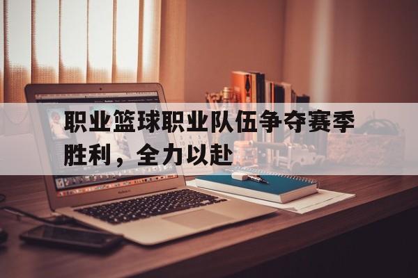 职业篮球职业队伍争夺赛季胜利，全力以赴的简单介绍